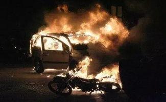 欧美火烧报纸视频大全,火焰中的文字传奇