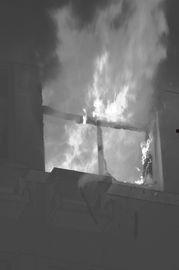 欧美火烧报纸视频大全,火焰中的文字传奇