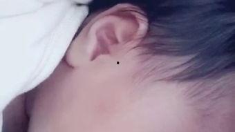 欧美日本母乳挤奶视频,欧美与日本育儿文化的共通与差异