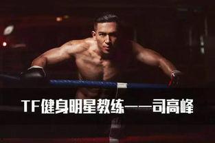 拳击帅哥欧美网站视频