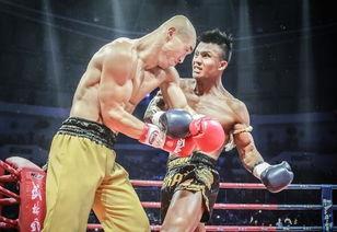 拳击帅哥欧美网站视频