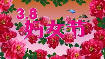三八欧美妇女节视频