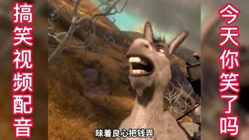 欧美人吵架搞笑视频,一场吵架引发的欢乐风暴