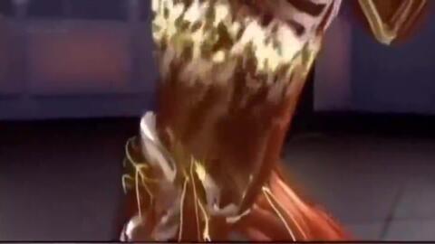 欧美拳叫视频,激情对决，力量与技巧的完美演绎