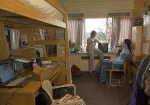 欧美华人租房视频,视频揭秘租房全流程与注意事项