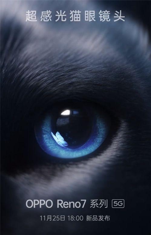 欧美猫眼眼睛特效视频,揭秘猫眼魅惑瞬间