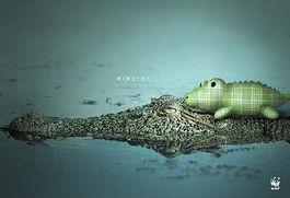 欧美绿帽龟公系列视频,揭秘隐秘的欲望世界