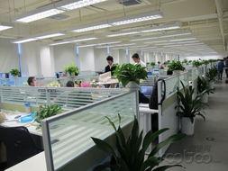 欧美办公环境视频,时尚与效率的完美融合