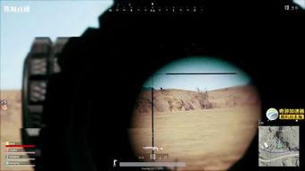 欧美视频另类小,探索边缘文化的视觉盛宴