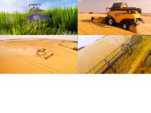 欧美健康环保视频,揭秘绿色生活新风尚