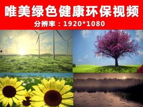 欧美健康环保视频,揭秘绿色生活新风尚