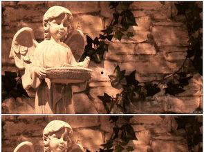 欧美接吻雕塑视频,浪漫瞬间，艺术与情感的交融