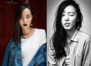 欧美中韩英高清视频,欧美中韩英高清视频盛宴